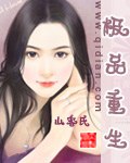 极品重生 封面