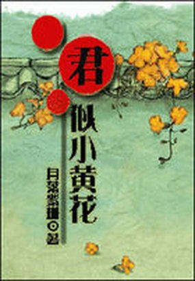 君似小黄花 封面