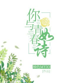 你与青春如诗 封面