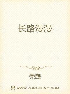 长路漫漫 封面