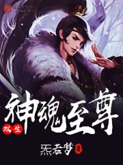 双生神魂至尊 封面