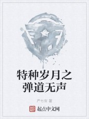 特种岁月之弹道无声 封面