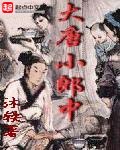 大唐小郎中 封面