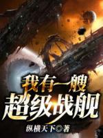 我有一艘超级战舰 封面