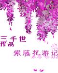 紫藤花游记 封面