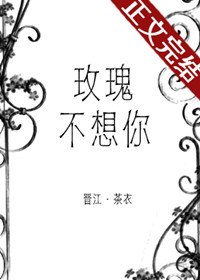 玫瑰不想你 封面