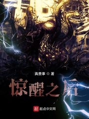 惊醒之后 封面