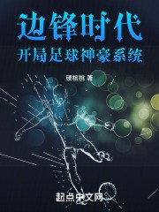 边锋时代,开局足球神豪系统 封面