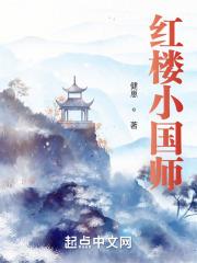 红楼小国师 封面