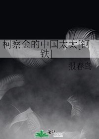 柯察金的中国太太[钢铁] 封面