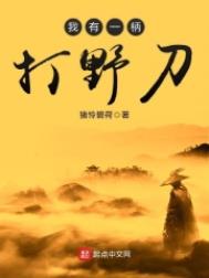我有一柄打野刀 封面