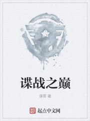 谍战之巅 封面