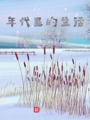年代里的生活 封面