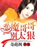 恶魔哥哥，别太狠！ 封面
