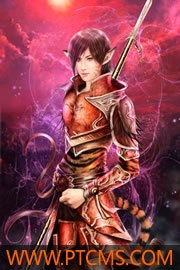 娇缚 封面