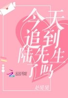 今天追到陆先生了吗 封面