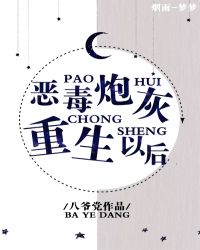 恶毒炮灰重生以后 封面