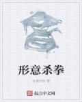 形意杀拳 封面