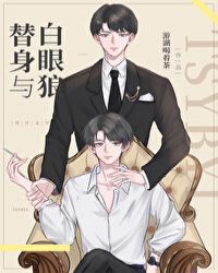 替身与白眼狼 封面