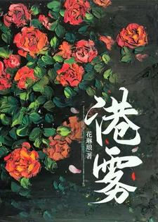 港雾 封面