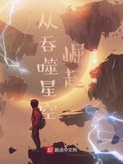从吞噬星空崛起 封面