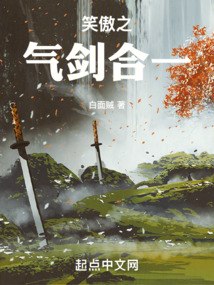 笑傲之气剑合一 封面