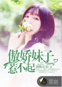 傲娇妹子惹不起 封面