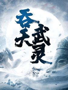 吞天武灵 封面