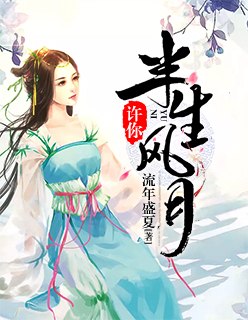 许你半生风月 封面