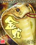 金蛇 封面