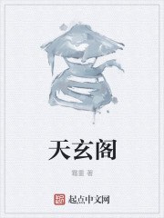 天玄阁 封面
