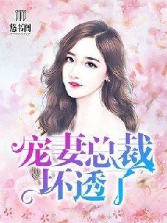 宠妻总裁坏透了 封面