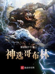 神选哥布林 封面