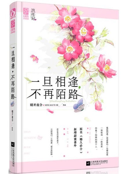 婚久必合你好吴先生 封面
