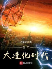 都市大进化时代 封面