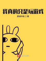 我真的只是玩游戏 封面