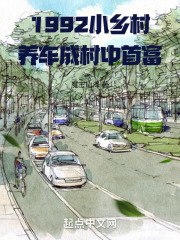 1992小乡村，养车成村中首富 封面