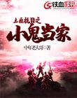 土匪抗日之小鬼当家 封面