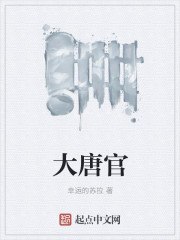 大唐官 封面
