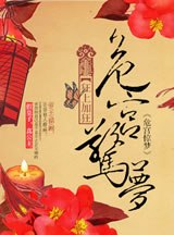 危宫惊梦 封面