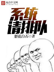 系统请排队 封面
