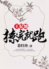 王妃她撩完就跑 封面