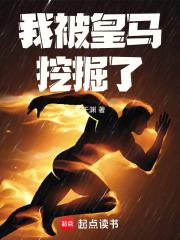 我被皇马挖掘了 封面