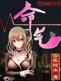 命气 封面