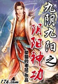 九阴九阳之阴阳神功 封面