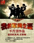 我的军阀生涯 封面