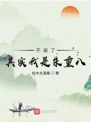 不装了，其实我是朱重八 封面