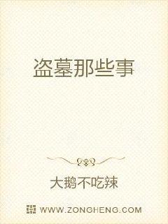 盗墓那些事 封面