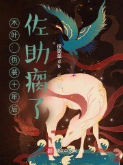 木叶：伪装十年后，佐助瘸了 封面