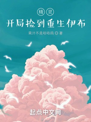 精灵：开局捡到重生伊布 封面